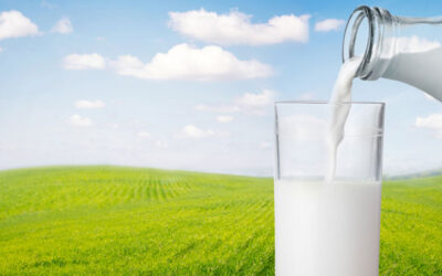 Il latte a impatto zero? lo studia l’Università di Ferrara